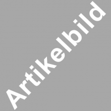 Mobile Preview: Testartikel 302